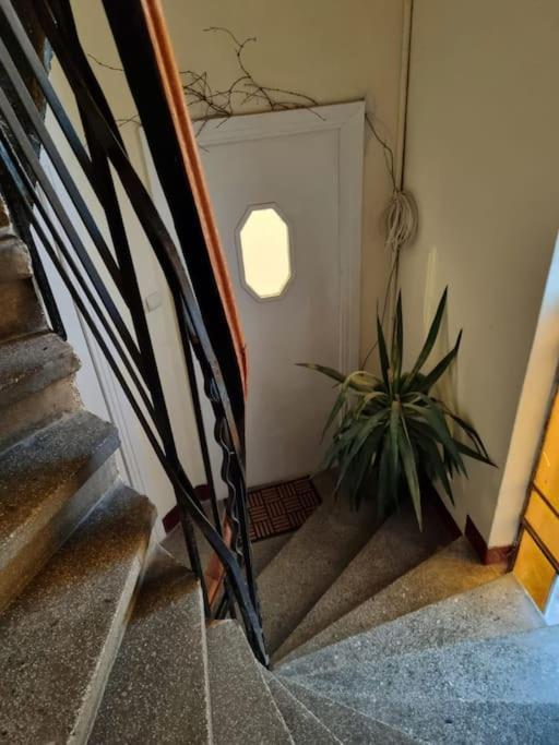 Cozy Apartment Near City Center Bükreş Dış mekan fotoğraf